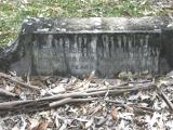 image of grave number 699310